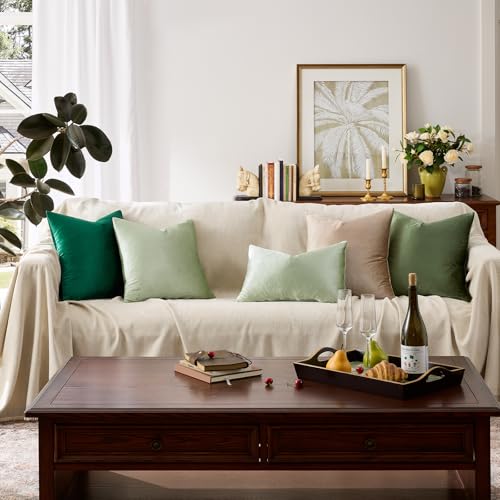 Sage Green Velvet Throw Pillow Covers 18x18 Pack of 2 (Sage Green / 18" x 18" (Pack of 2))