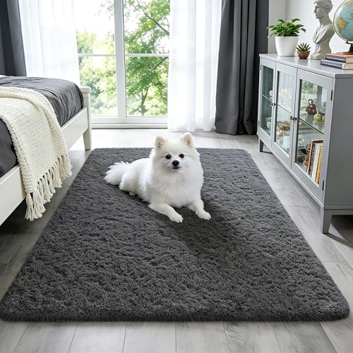 Washable 3x5 Area Rug (1- Grey / 3' x 5' (Rectangular))
