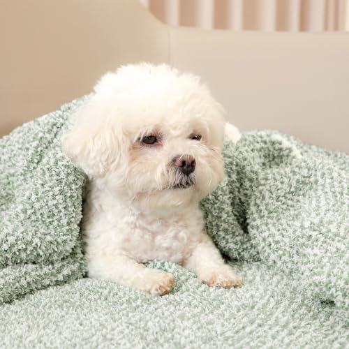 Heather Sage Green Throw Blanket for Couch (Sage Green / Throw (50"x60"))