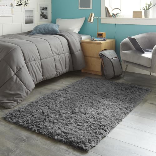 Washable 3x5 Area Rug (1- Grey / 3' x 5' (Rectangular))