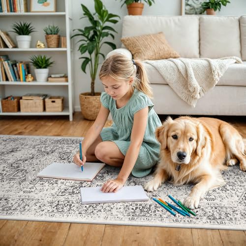 3x15 Washable Hallway Runner Rug (Distressed Grey / 3x15)
