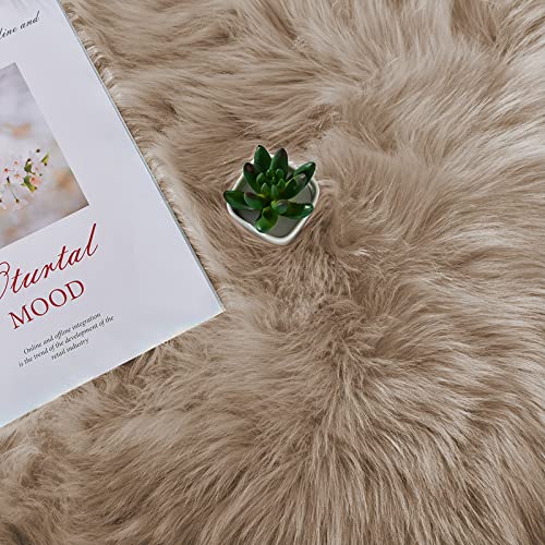 Beige Washable Rugs 4x6 for Living Room Fluffy Carpet Soft Shaggy Faux Sheepskin Fur Rug for Bedroom Floor Room Rugs Home Decor Sheepskin (4' x 6' (Sheepskin) / Beige)