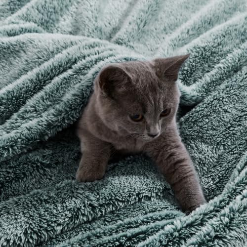 Fuzzy Large Fleece Throw Blanket for Couch (Mixed Green / 50x70 IN)