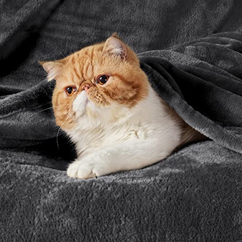 GentleSoft Fleece Blankets Queen Size Dark Grey (Charcoal / Queen (90" X 90"))