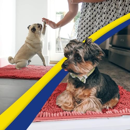 Super Water Absorbent Door Mat Indoor (Red / 36" x 72")