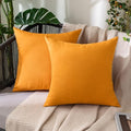 Decorative Outdoor Pillow Covers Fall 18x18 Pumpkin Orange (18" x 18" (Pack of 2) / Pumpkin Orange)