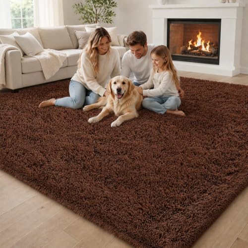 6x9 Shag Area Rug for Living Room