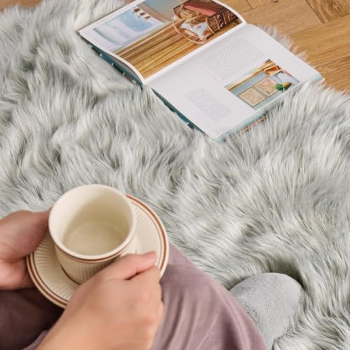 Fluffy Area Rug 2x3 ft Faux Fur Sheepskin Rug for Bedroom Light Grey (2' x 3' (Sheepskin) / Light Grey)