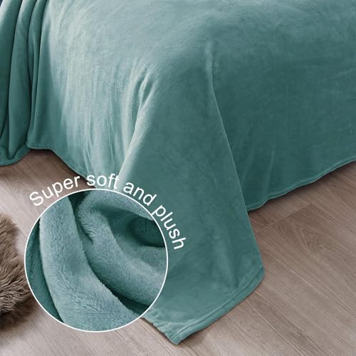 Soft Fleece Blanket Queen Size for Bed (Celadon / Queen (90" x 90"))