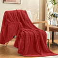 Ruby Red Fleece Throw Blanket for Couch (Ruby Red / Throw/Travel-50x60 IN)