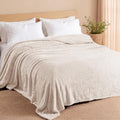 Fuzzy Plush Fleece Bed Blanket Queen Size (Beige / 90x90 IN)