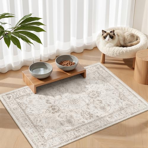 2x3 Washable Rugs for Entryway (Brown/Ivory / 2' x 3' (Rectangular))