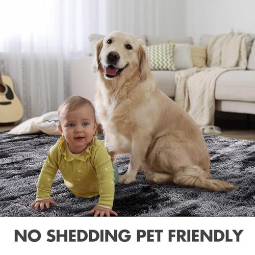4x6 Ft Shag Rugs for Bedroom Living Room (Bb Black 4sm02 / 4' X 6' (Rectangular))