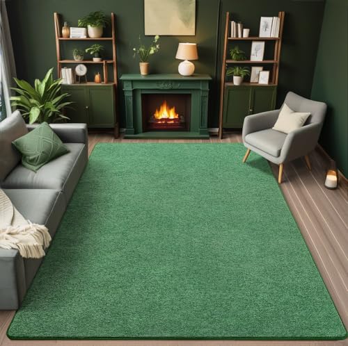5x7 Area Rugs for Living Room Non Slip Dorm Bedroom Rug (5' x 7' (Rectangular) / Green and White)