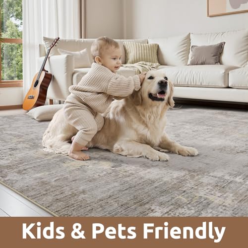 5 x 7 Area Rugs for Living Room (Beige / 5' x 7')