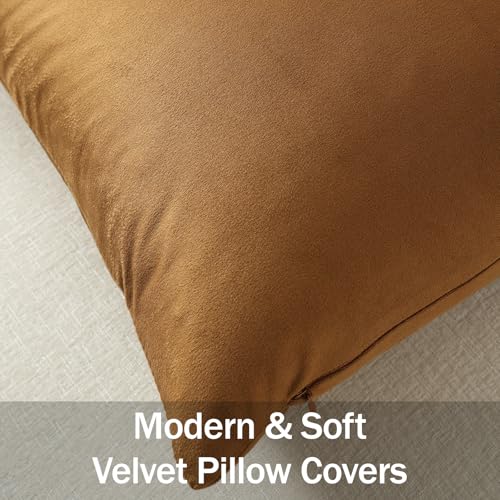 Euro Sham Covers 24x24 Golden Brown (Golden Brown / 24" x 24" (Pack of 2))