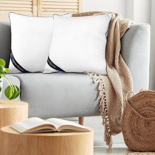 16x16 Throw Pillow Inserts (16x16 Inch)