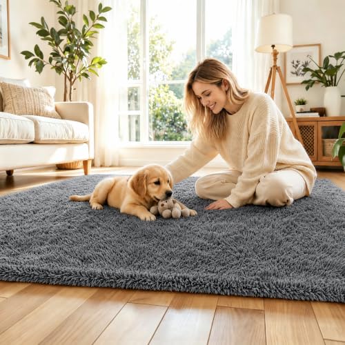 5x8 Dark Grey Shag Area Rug for Living Room (Dark Grey / 5' x 8' (Rectangular))