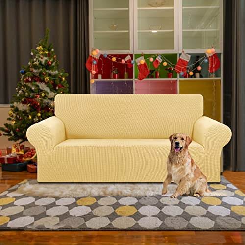 Stretch Loveseat Couch Cover (Champagne / Medium)