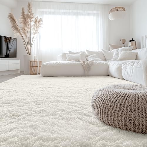 6x6 Area Rugs for Living Room Bedroom (6x6 Ft Square / Ivory)
