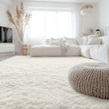 8x12 Machine Washable Large Area Rugs for Living Room (8x12 Ft / Ivory)