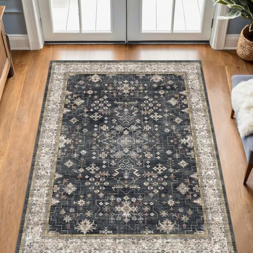 Large 3x5 Entryway Rug Indoor (3' x 5' (Rectangular) / Ashen / Multi)