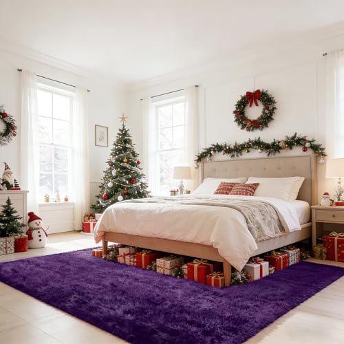 Shag Area Rugs for Bedroom Living Room