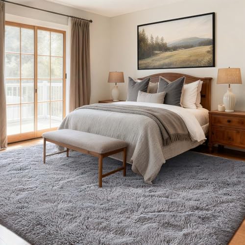 6x9 Ft Large Shag Rugs for Living Room Decor (Ec Light Grey / 6' X 9' (Rectangular))