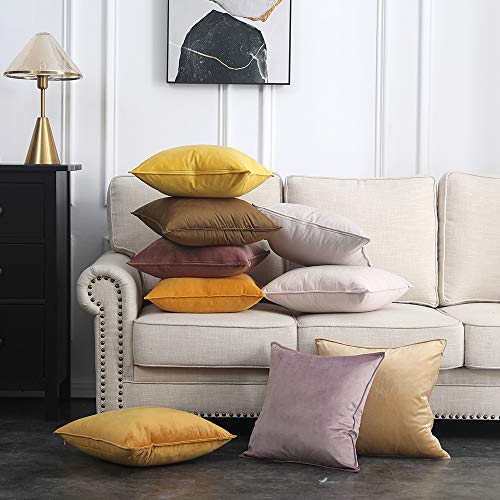 Decorative Jam Velvet Throw Pillow Covers for Couch 20x20 Inch (20" x 20" (Pack of 2) / Jam)