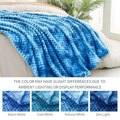 Soft Cozy Plush Sofa Throws for All Seasons