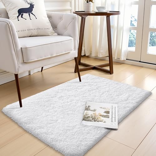 2x3 Machine Washable Small Bedside Rug (2x3 Ft / White)