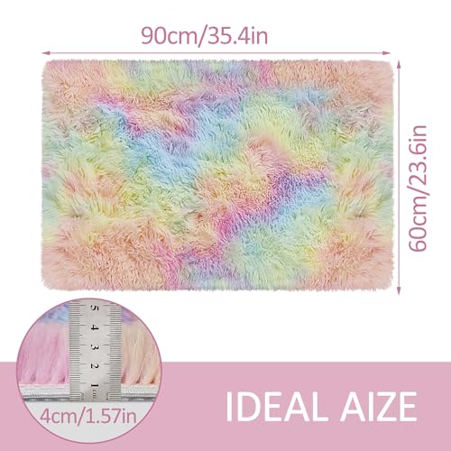 Small Fluffy Rainbow Colorful Area Rug for Girls Bedroom 2x3 Mini Kawaii Tie Dye Rug Fuzzy Unicorn Throw Rug for Living Room Kids Nursery Baby Princess Room Home Decor Aesthetic Carpets (Tie-dyed Rainbow / 2' x 3' (Rectangular))
