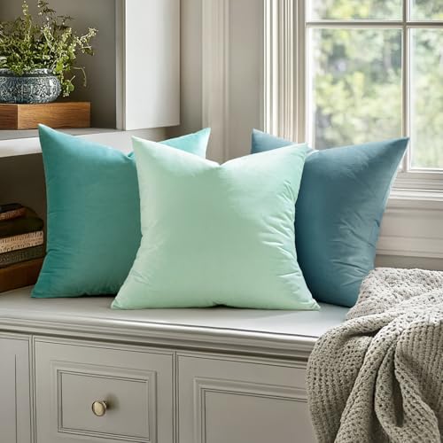 26x26 Inch Pack of 2 Euro Velvet Throw Pillow Covers Aqua Green (26" x 26" (Pack of 2) / Aqua Green)