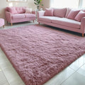 5x7 Machine Washable Large Area Rugs for Living Room (5x7 Ft / Blush)