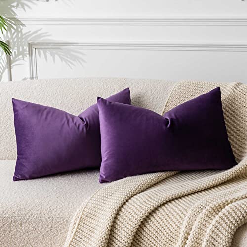 12x20 Lumbar Velvet Throw Pillow Covers Set of 2 for Couch Sofa Bed (Purple / 20" x 12" (Pack of 2))