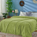 Sage Green Fleece Queen Blanket for Bed (Sage Green / Full/Queen-90x90 IN)