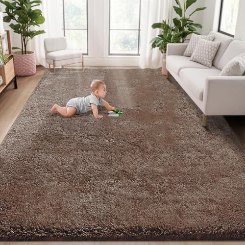 5x7 Area Rug for Living Room (Coffee / 5' x 7' (Rectangular))