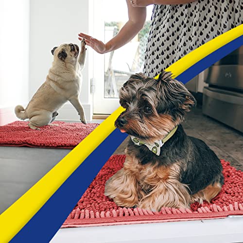 Super Water Absorbent Door Mat Indoor (Red / 24" x 35")