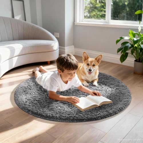 Round Rugs 3Ft Grey Circle Area Rug (1- Grey / 3' (Round))