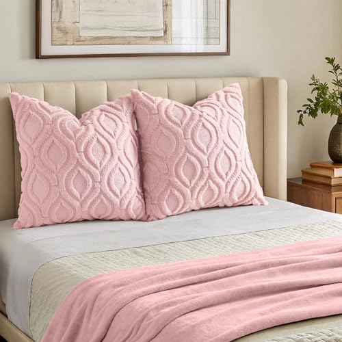Faux Fur Plush Soft Pink Throw Pillow Covers 16x16 Set of 2 (16" x 16" (Pack of 2) / Pink)