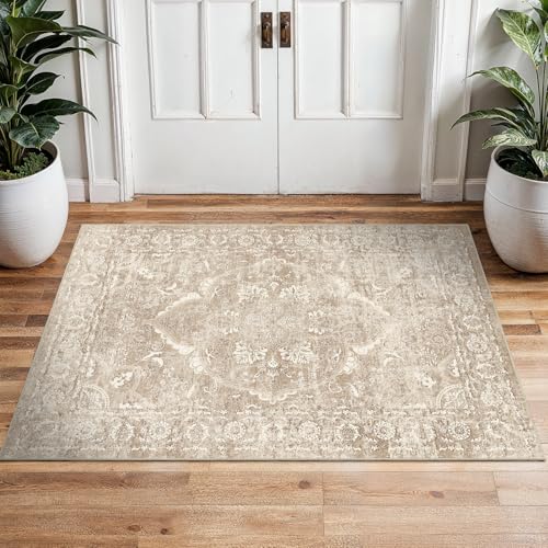 2x3 Washable Area Rug for Entryway (Natural Beige / 2x3)