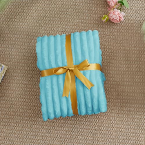 Ribbed Fleece Throw Blanket for Couch (Sky Blue / Throw(50"x60"))