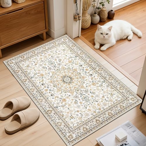 2x3 Area Rugs Living Room (Beige / 2' x 3' (Rectangular))
