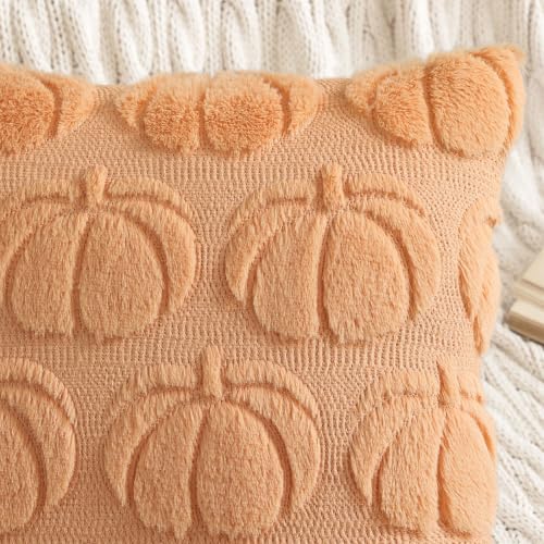 Fall Pumpkin Faux Fur Throw Pillow Covers 20x20 Set of 2 (Pumpkin / 20" x 20" (Pack of 2))