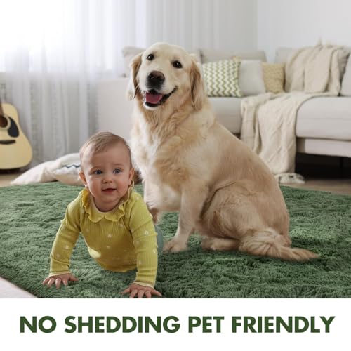 9x12 Ft Extra Large Shag Green Area Rug for Living Room (Bb Green / 9' X 12' (Rectangular))