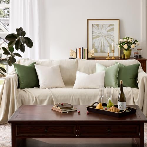 Velvet Pillow Covers 20x20 Decorative Pillows Pack of 2 Ivory (Ivory / 20" x 20" (Pack of 2))