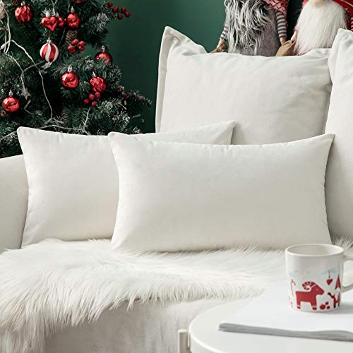 12x20 Inch Lumbar Velvet Throw Pillow Covers Pure White (20" x 12" (Pack of 2) / Pure White)