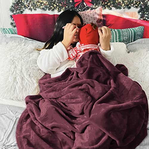 GentleSoft Fleece Blanket Twin Size Red (Burgundy Red / Twin (60" X 80"))