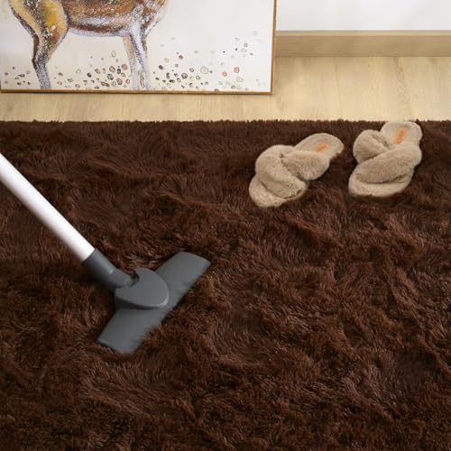 Shag Fluffy Area Rug for Bedroom Girls Living Room (5'3" x 7'7" (Rectangular) / Brown)