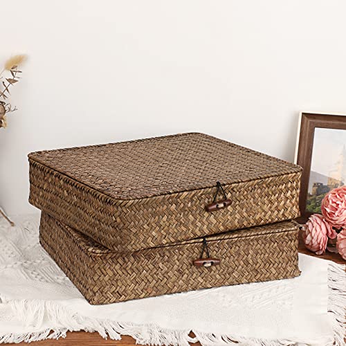 2 Packs FLat Woven Wicker Basket Bin with Lid (Large+Large / Coffee)